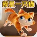 奶奶的贴心小猫