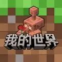 我的世界